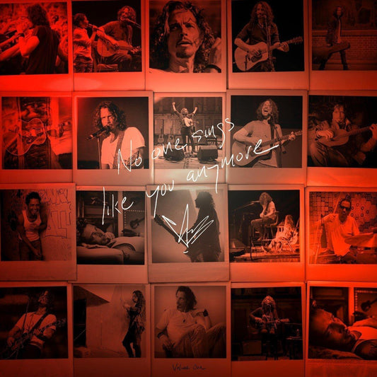 Chris Cornell - No One Sings Like You Anymore (Vinyl)-Mood-Mood