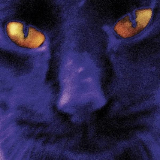David Kilgour & the Heavy Eights - Bobby's a Girl (Vinyl)-Mood-Mood
