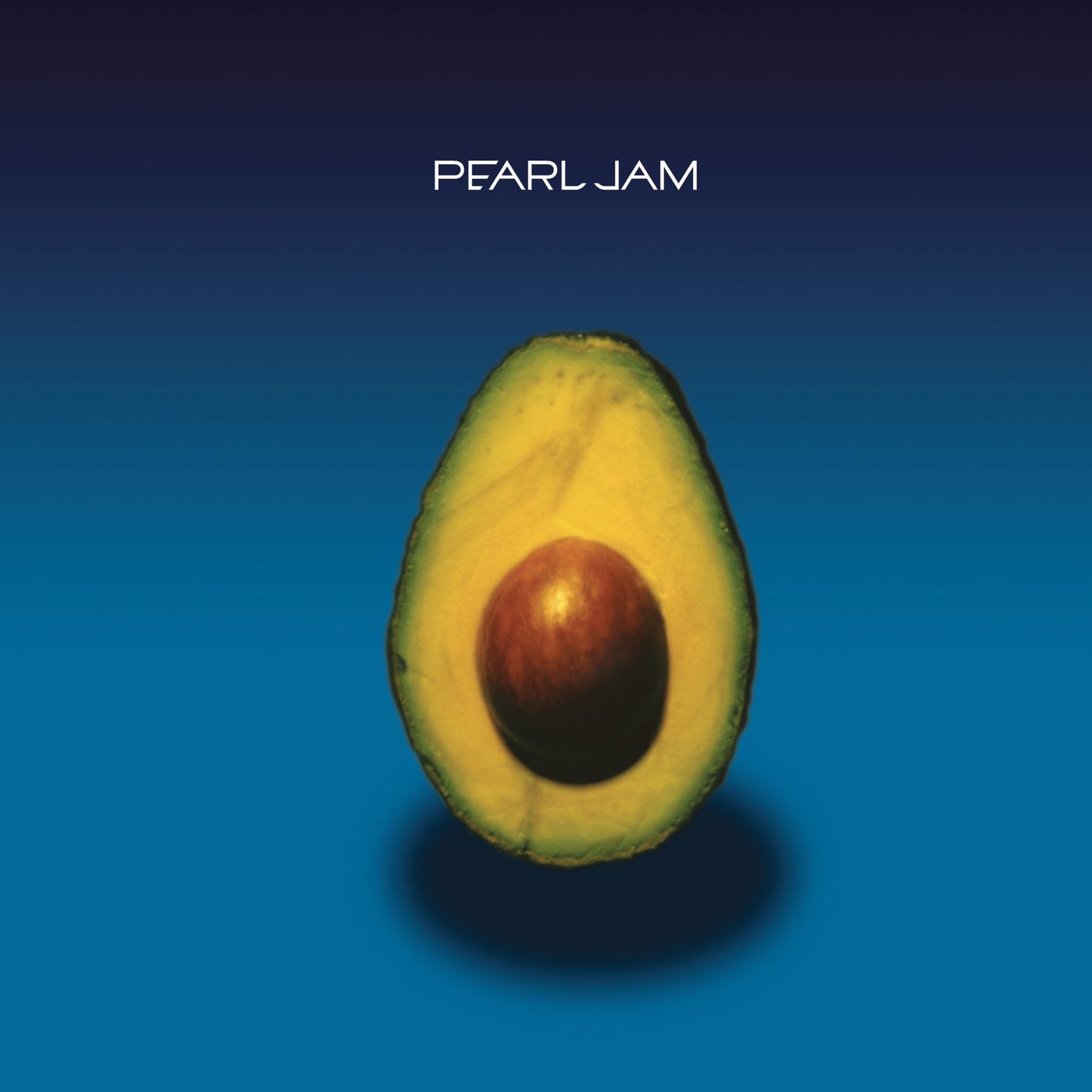 Pearl Jam - Pearl Jam (Vinyl)-Mood-Mood