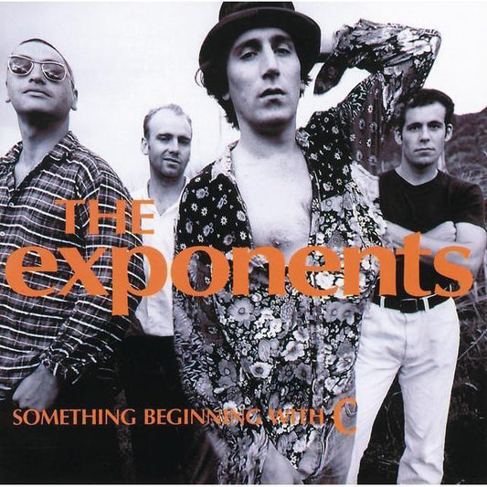 The Exponents - Something Beginning with C (Vinyl)-Mood-Mood